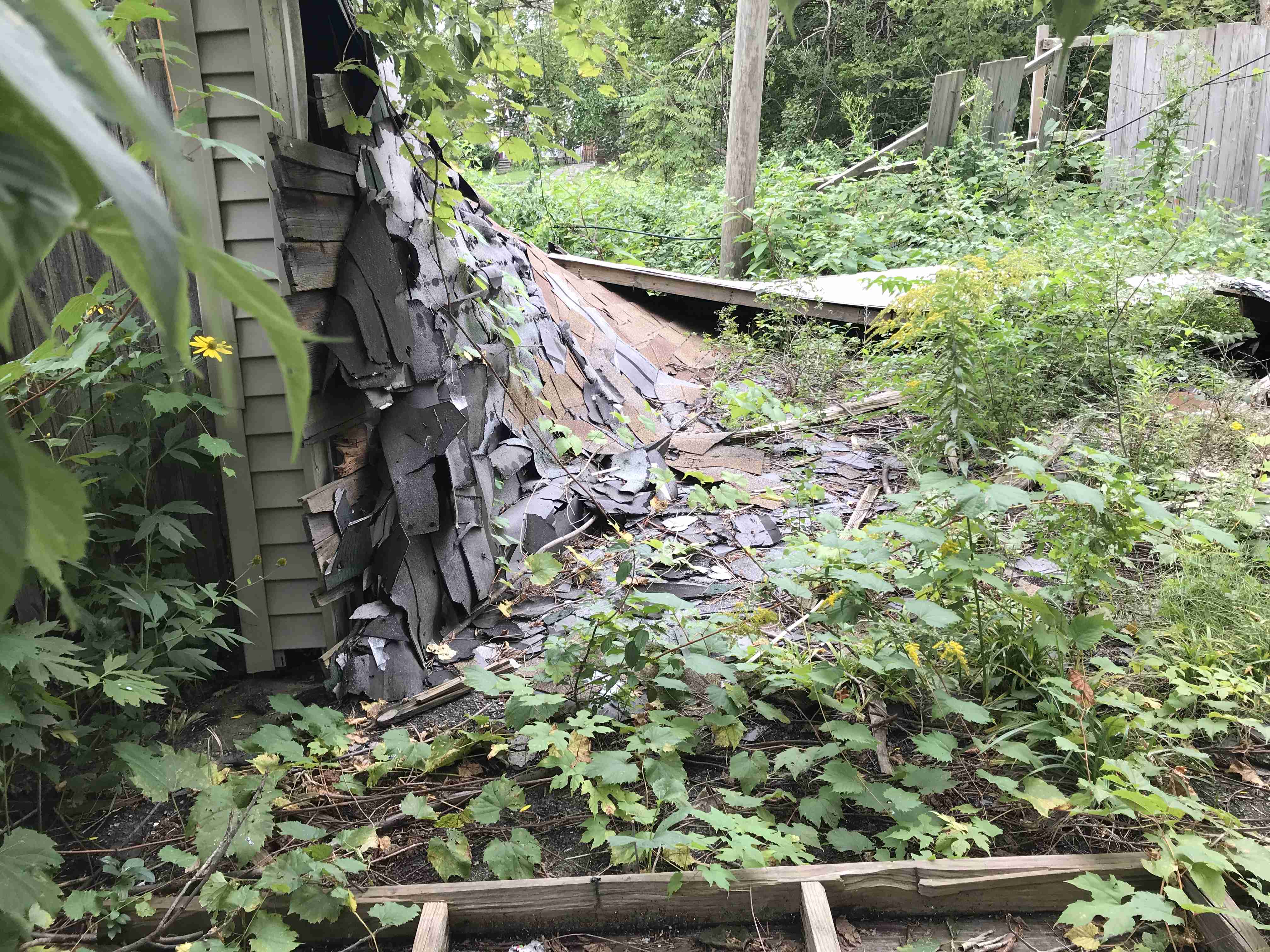 Photo Sep 10, 2 31 30 PM.jpg